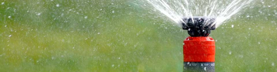 Titelbild zu Regenwassernutzung: Rasensprenger auf Wiese